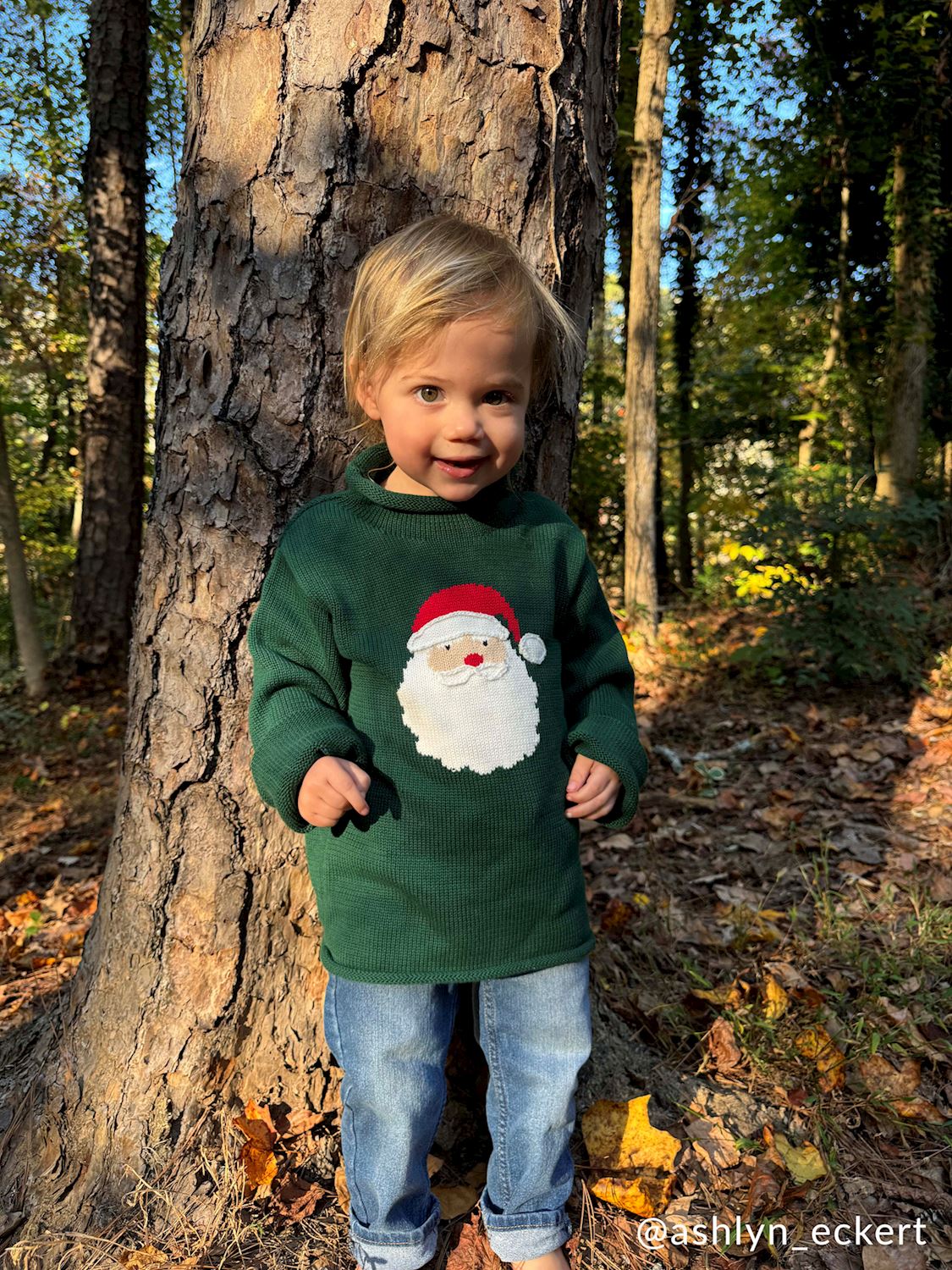 Green Santa Rollneck Sweater