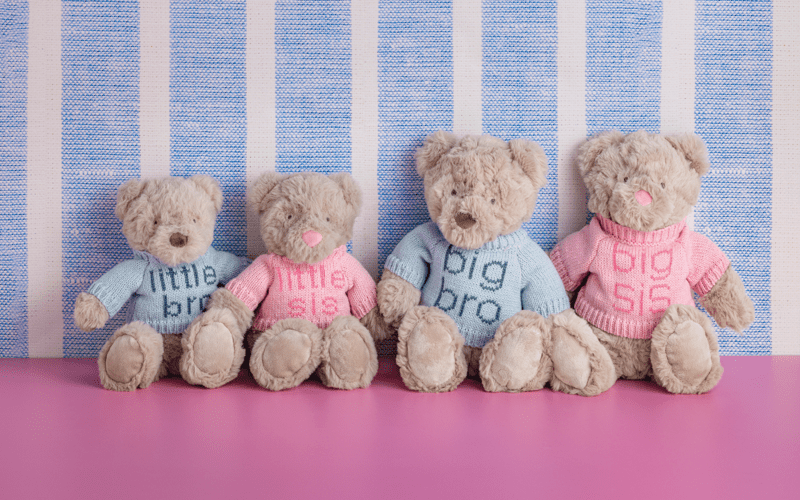 Big Brother Plush Bear