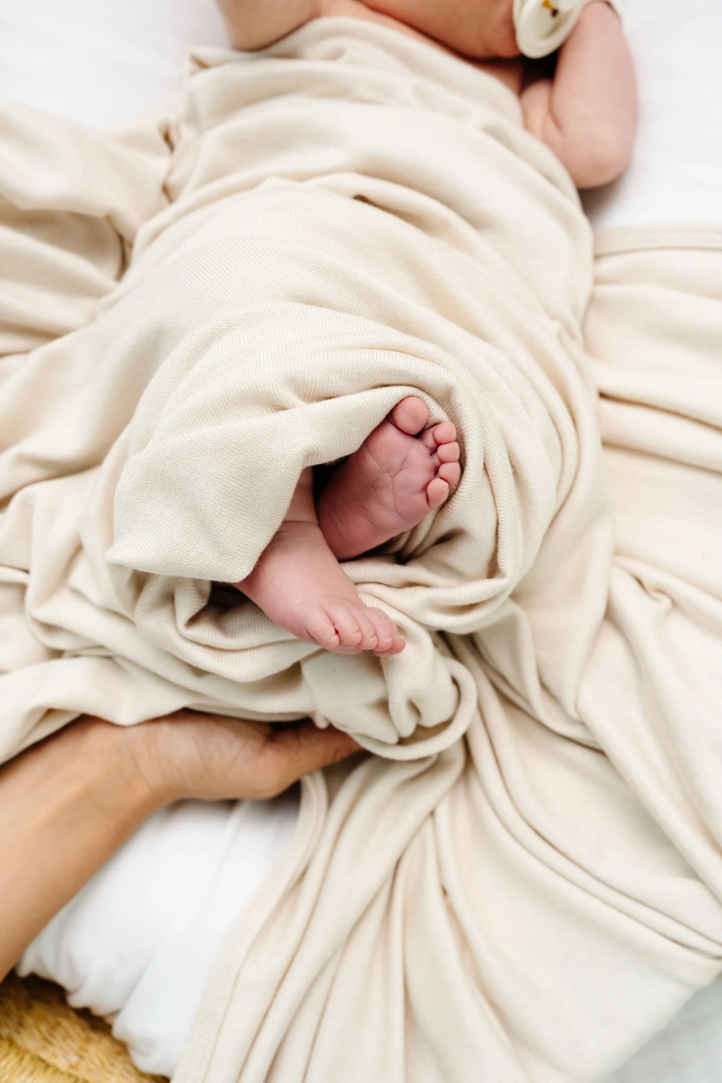 Dakota Plush Swaddle Blanket - Regular Luxe (48x48 inches)