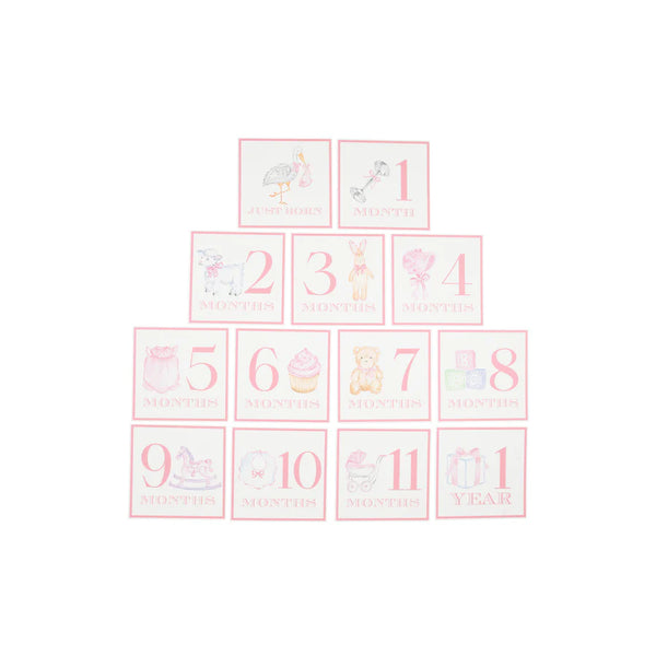 Sir Proper's Month Markers - Palm Beach Pink
