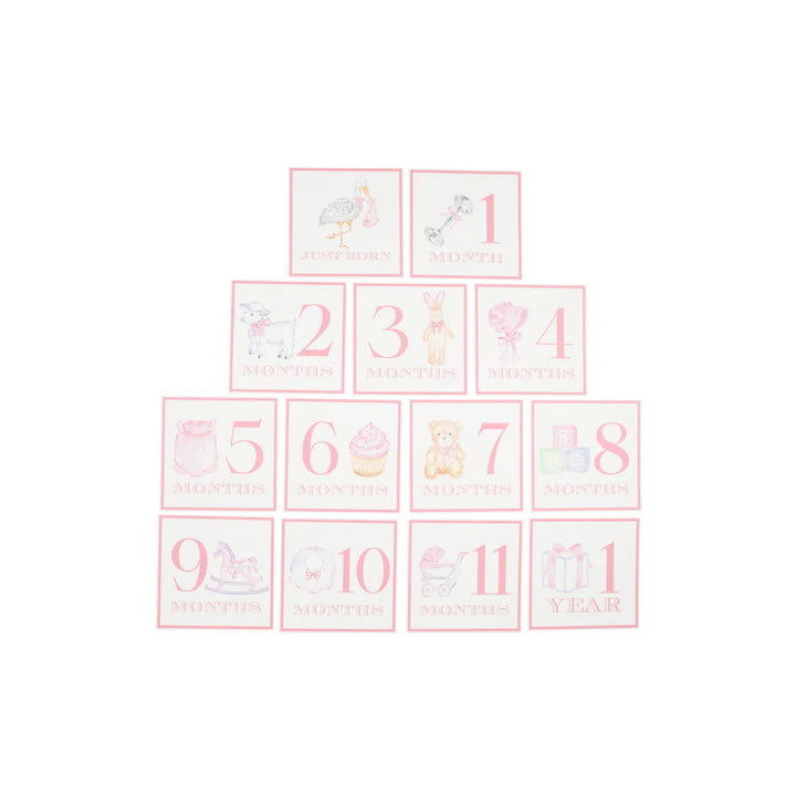 Sir Proper's Month Markers - Palm Beach Pink