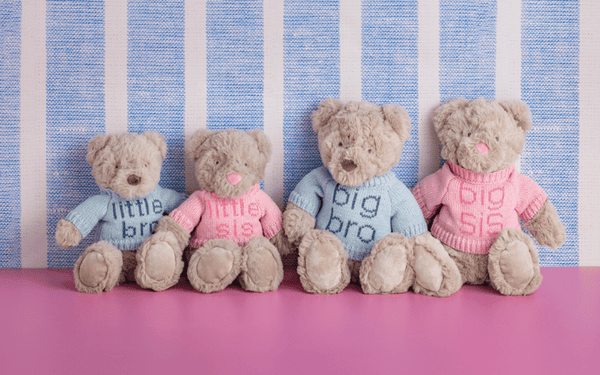 Big Brother Plush Bear