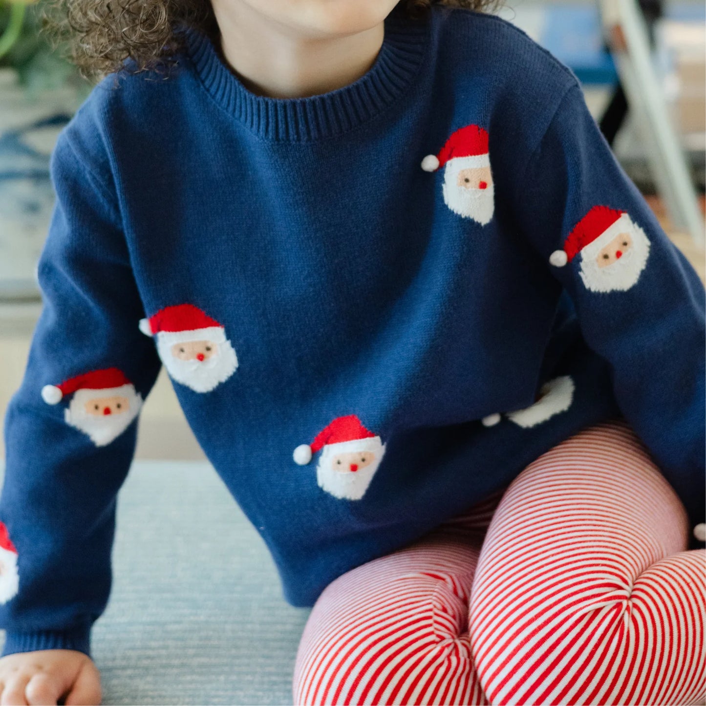 Crew Neck Sweater - Santa Print