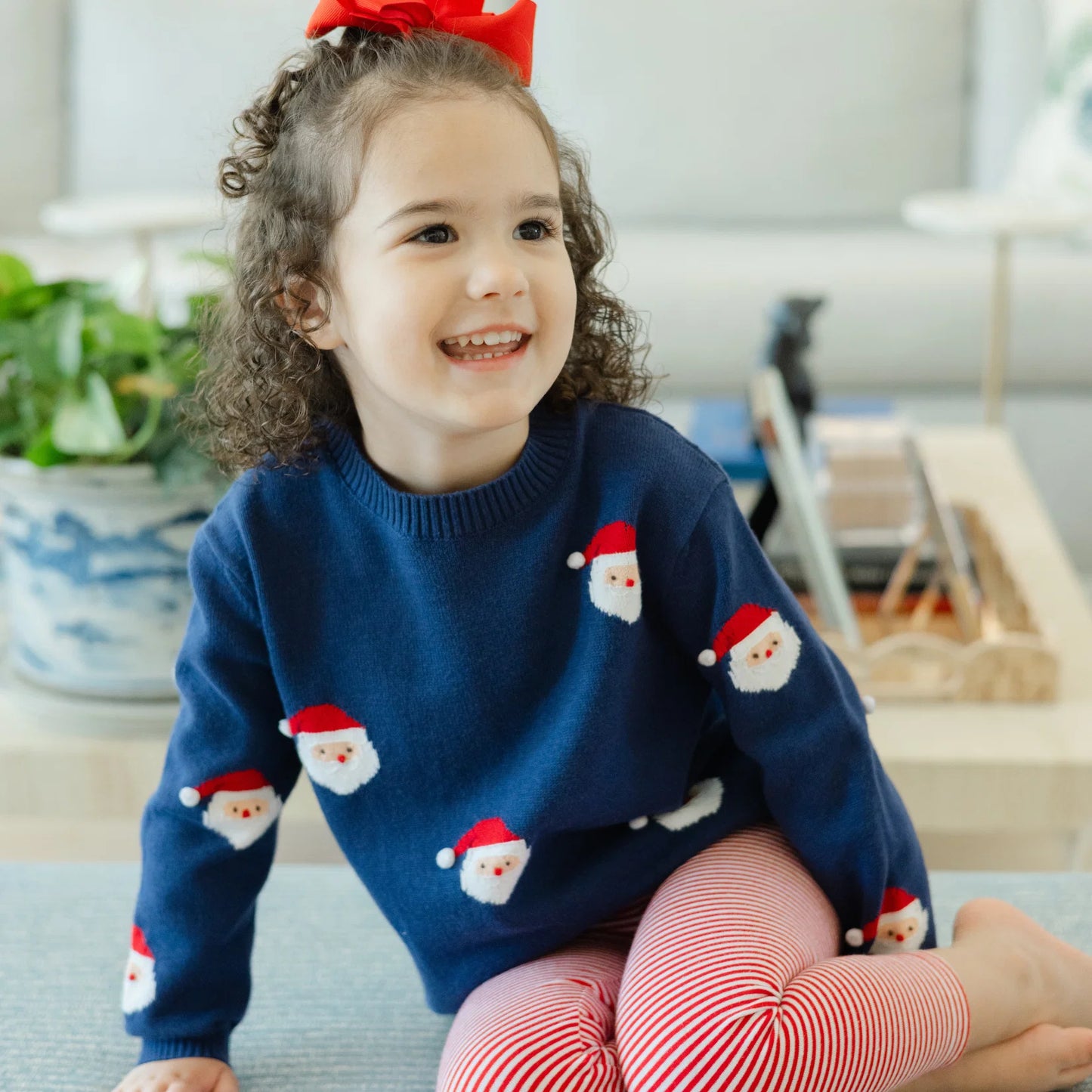 Crew Neck Sweater - Santa Print