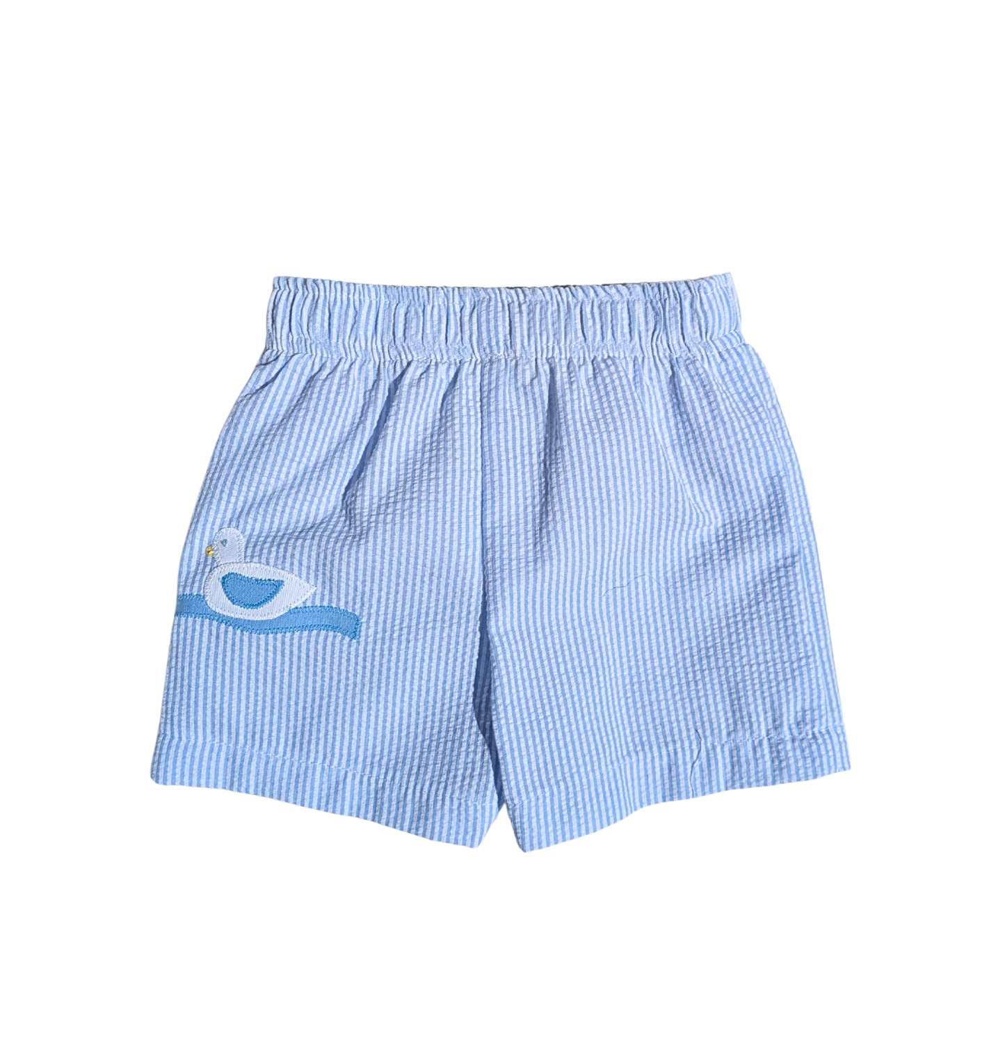 Swim Trunks - Ducks