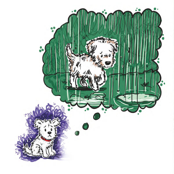 Scrim on the Run: Christmas Fun!