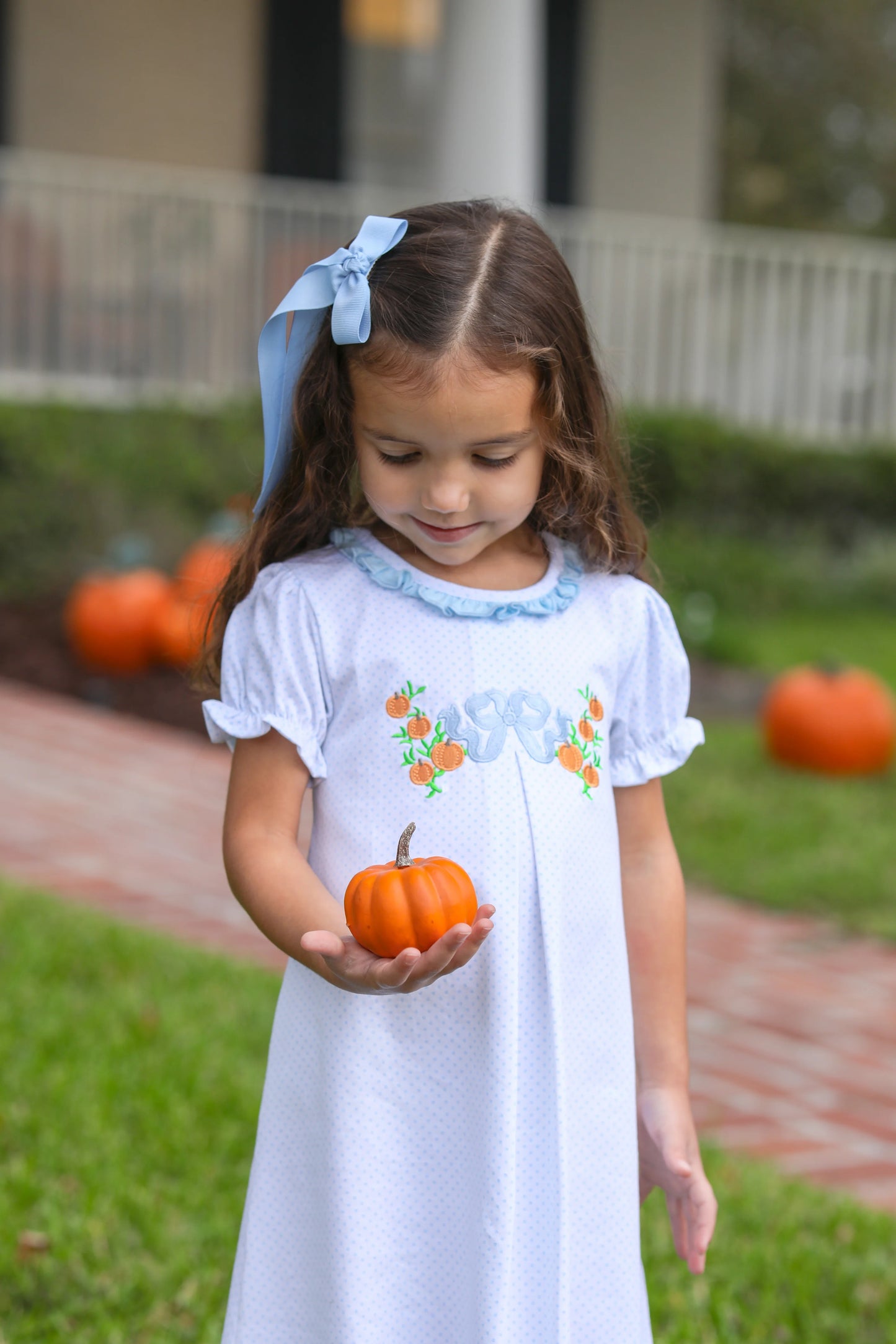 Pumpkin Embroidery Dress