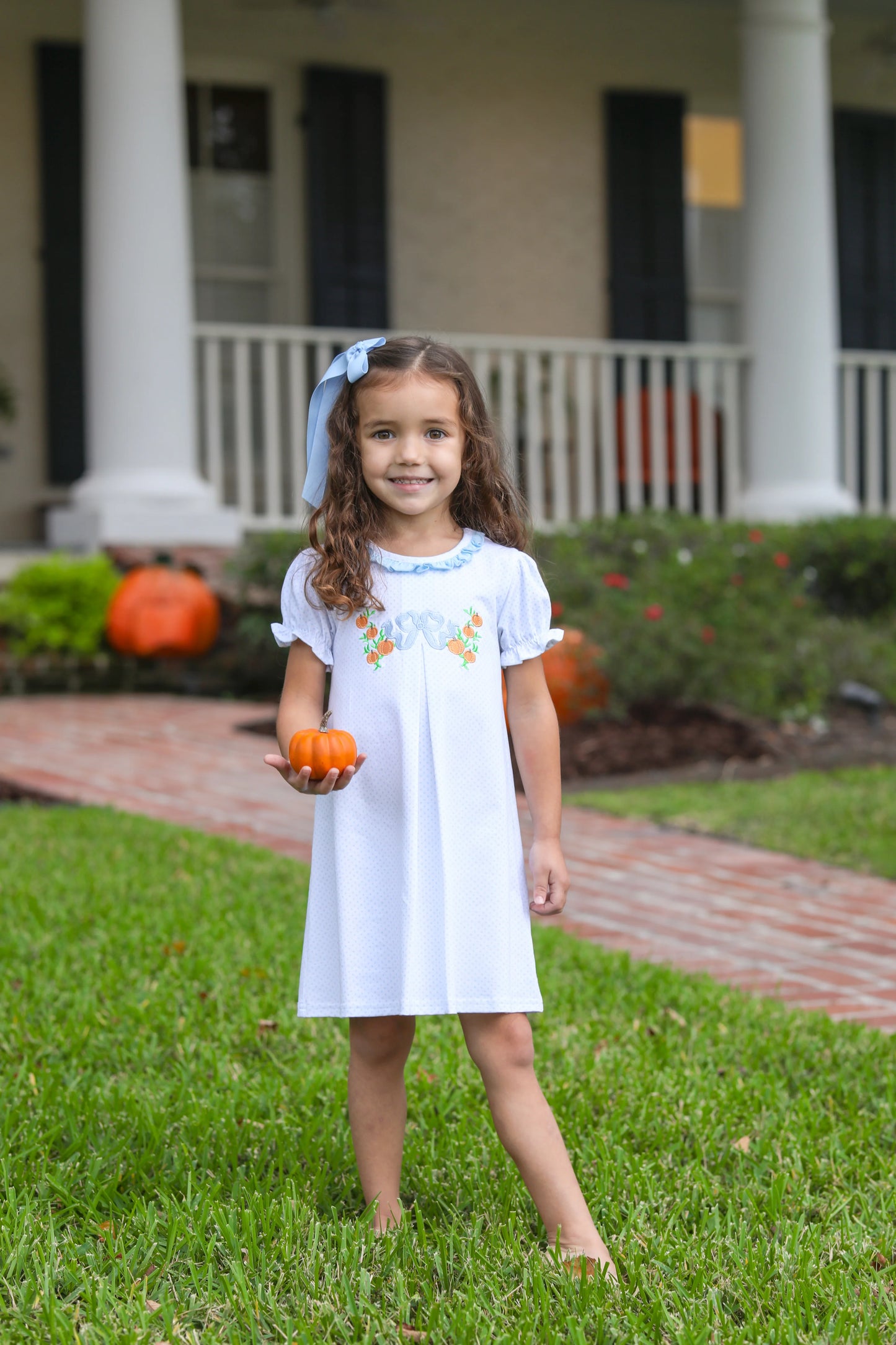 Pumpkin Embroidery Dress