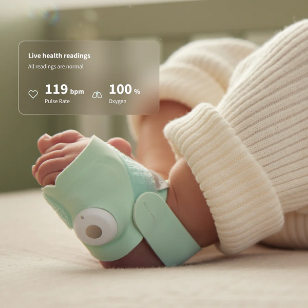 Owlet Dream Sock