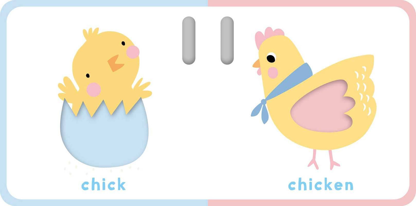 Touch & Feel Stroller Book - Farm by Little Genius Books: