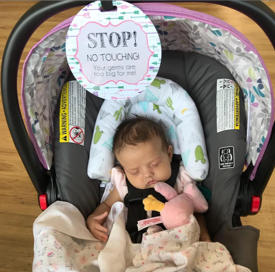 Pink Arrow No Touching Car Seat and Stroller Tag