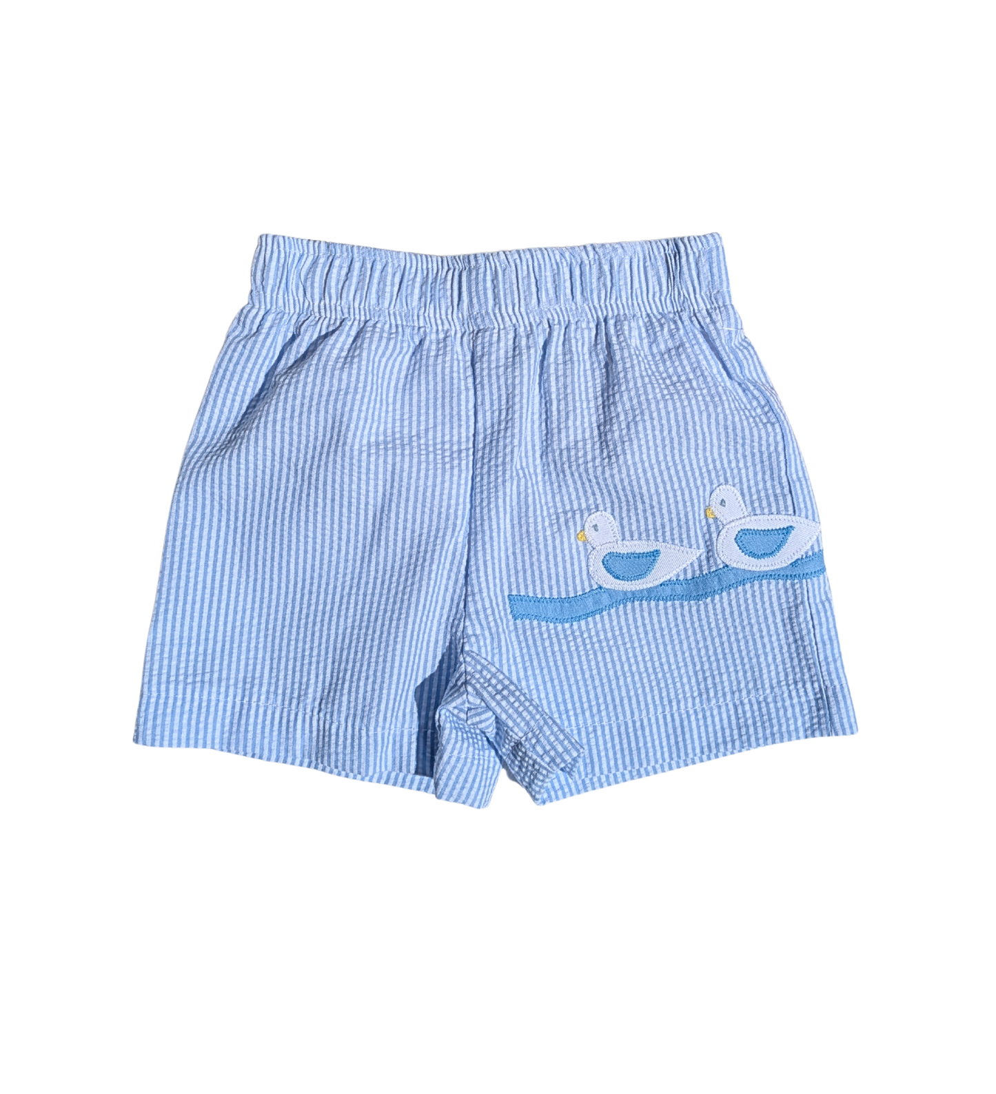 Swim Trunks - Ducks