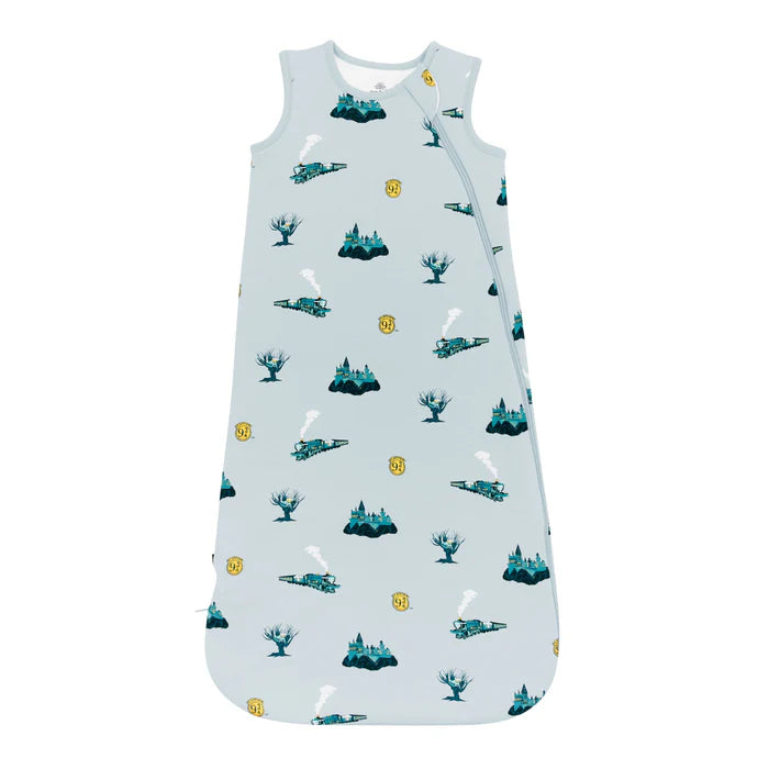 Sleep Bag in Journey 1.0
