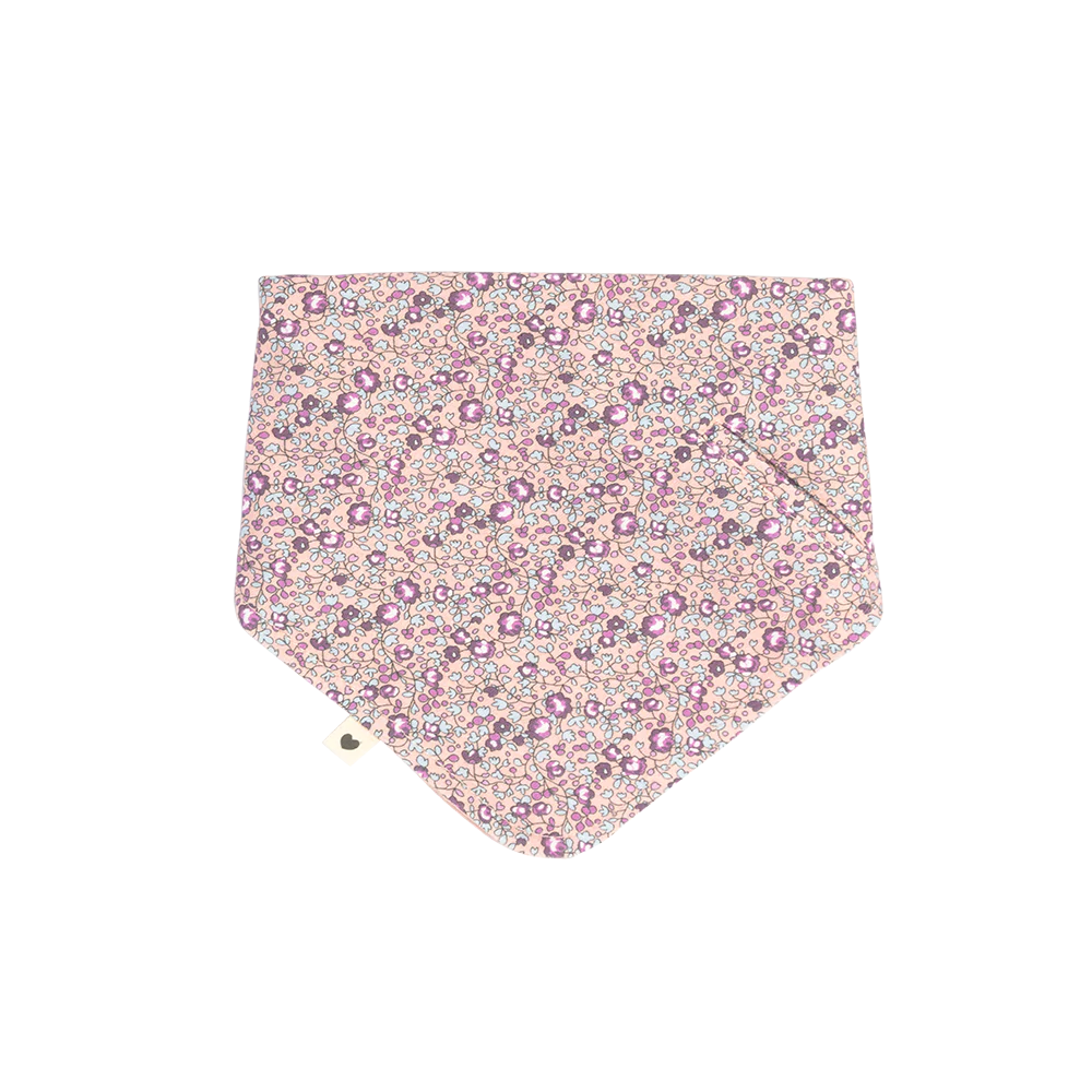 BIBS